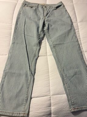 Oat New York Blue and White Striped Women’s Jeans